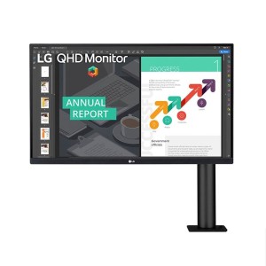 LG 27″ IPS Panel QHD Monitor – 75Hz